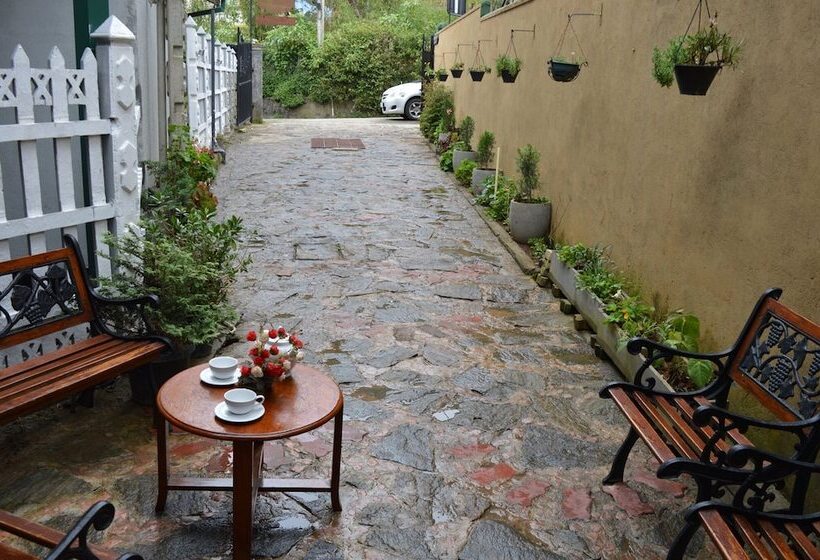 פנסיון Misty Holiday Nest