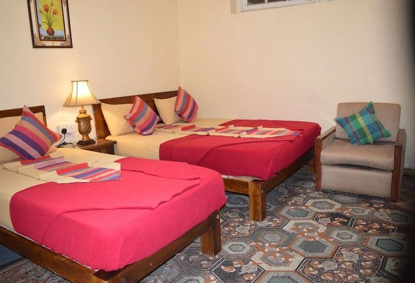 פנסיון Misty Holiday Nest