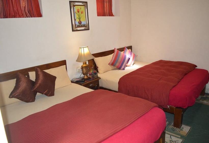 פנסיון Misty Holiday Nest