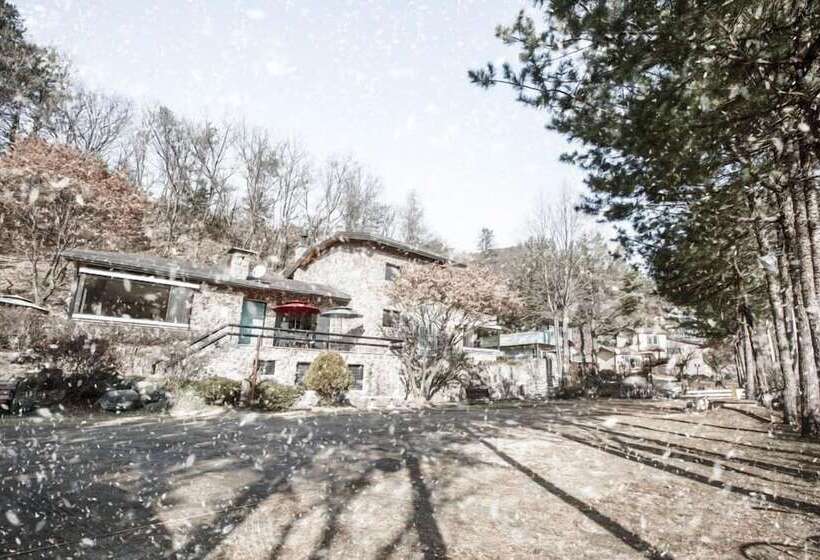 פנסיון Morning Palace