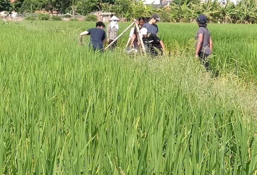 پانسیون Paddy Home