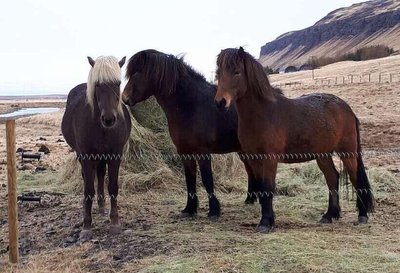 پانسیون Ravencliff Lodge