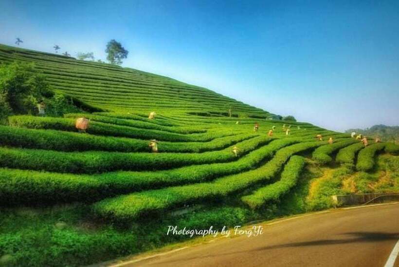 پانسیون Shan Feng B&b