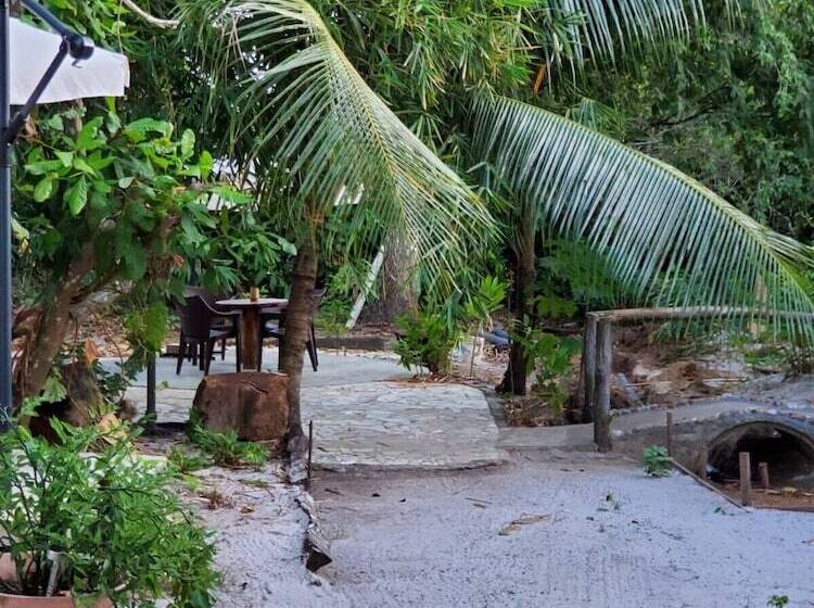 Пансион Sjv Groningen