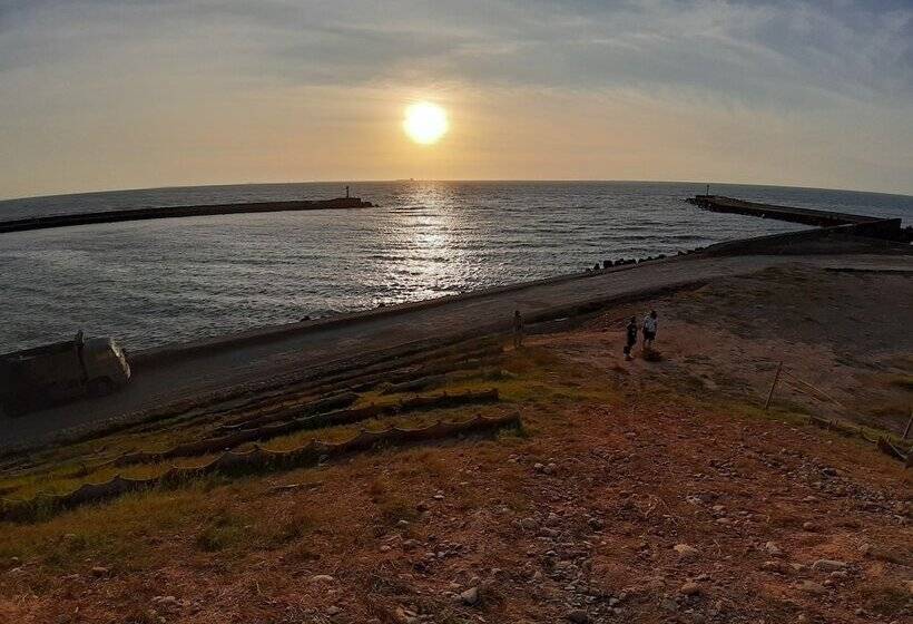 پانسیون Taoyuan Airport Rory Harbor Hostel