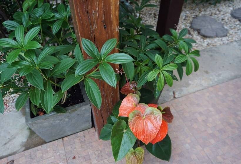 펜션 ท่ามะโอบูทีคโฮมสเตย์ Tha Ma O Bouteak Homestay