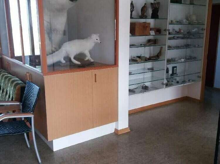 پانسیون Thistle Guesthouse