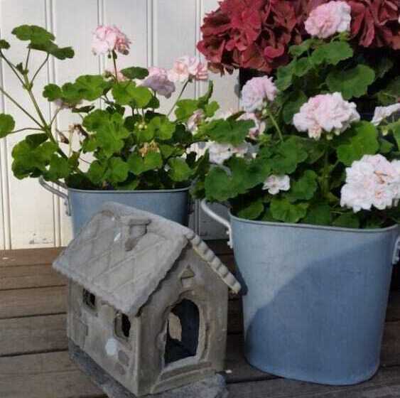 پانسیون Vevelstad Gjestegård