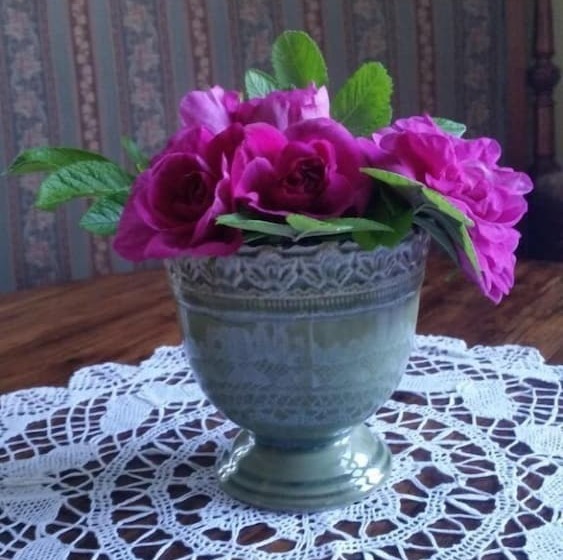 پانسیون Vevelstad Gjestegård