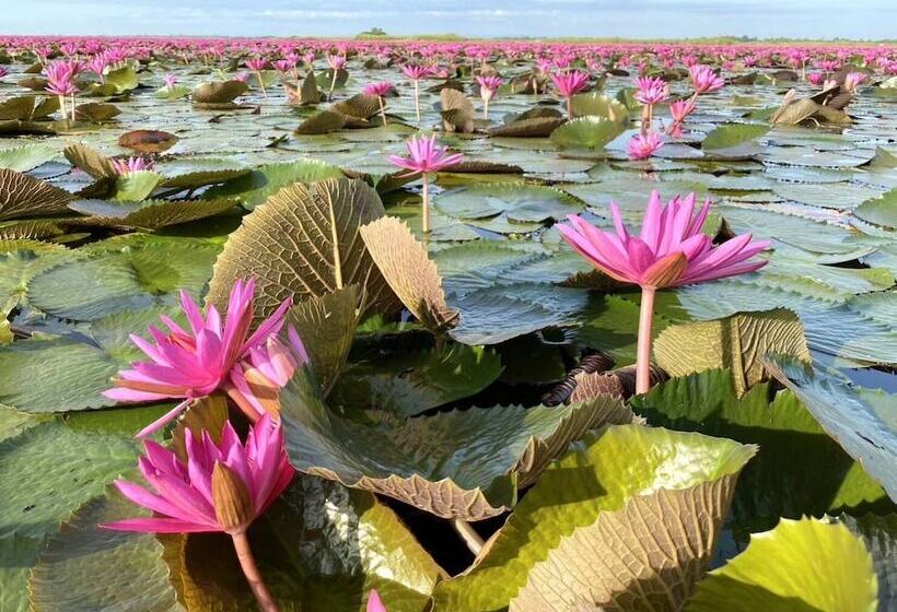 Пансион Village Homestay