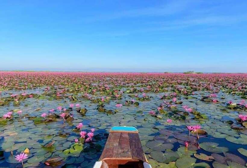 펜션 Village Homestay