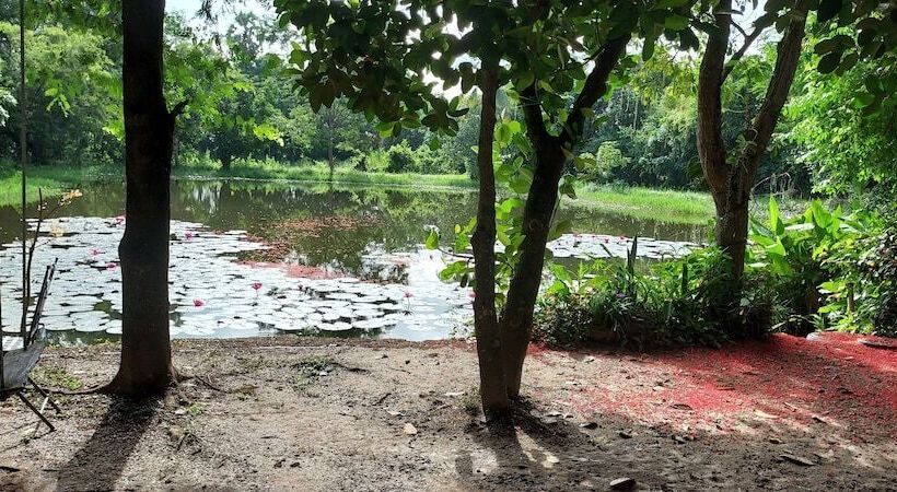 펜션 Village Homestay