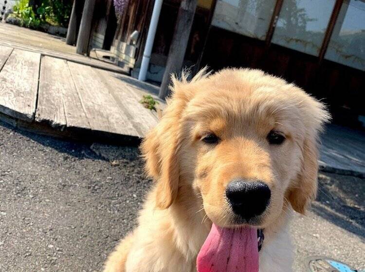 Pansiyon Yufuin Akarinoyado