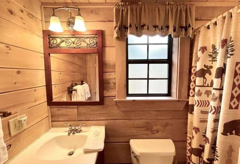 Private And Perfect!   Hot Tub, King Bed, Fireplace   Dog And Motorcycle Friendly Studio Cabin By Re