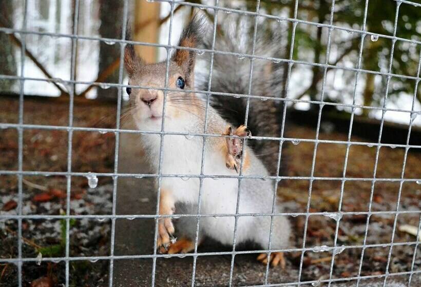 리조트 Sandal Guest House