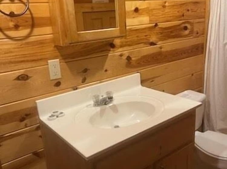 Ridgeview Retreat Seclude Cabin Includes Wifi, Cable, And Charcoal Grill By Redawning