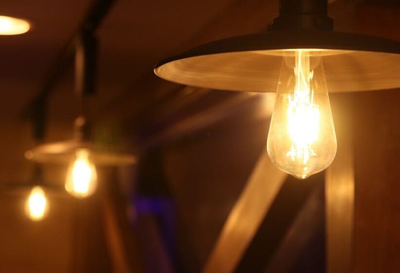 ريوكان Amis Droles