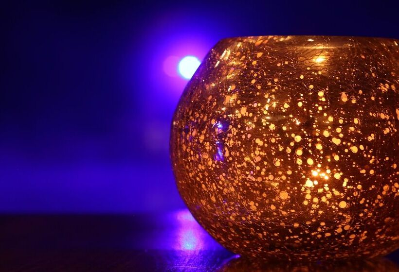 ريوكان Amis Droles