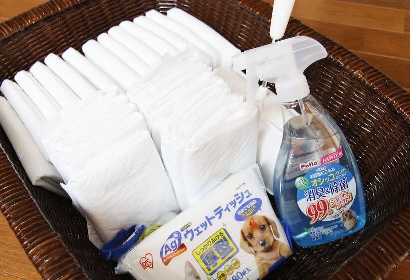 ريوكان Amis Droles