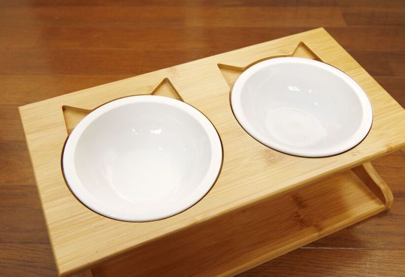 ريوكان Amis Droles