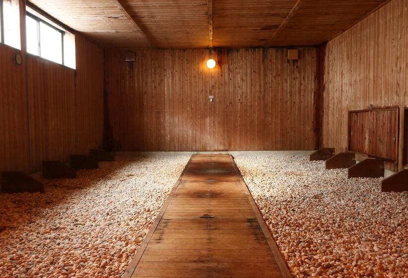 ريوكان Amis Droles