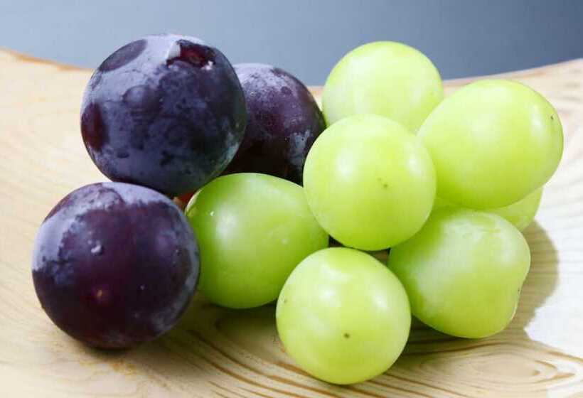 ריוקאן Natoriya