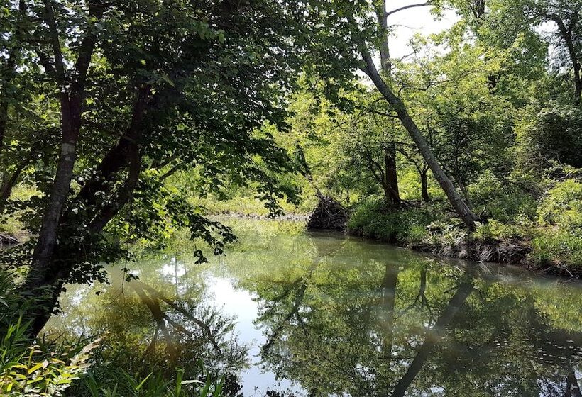Sierra Escape Cabin With Fire Pit And Charcoal Grill By Redawning