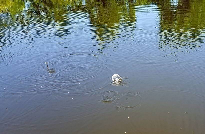 Sierra Escape Cabin With Fire Pit And Charcoal Grill By Redawning