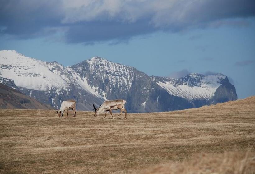 Stafafell Cottages