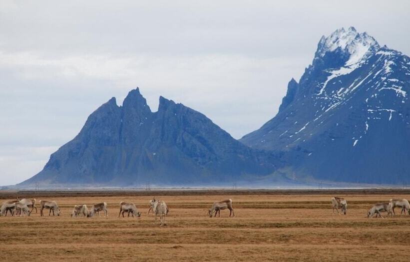Stafafell Cottages