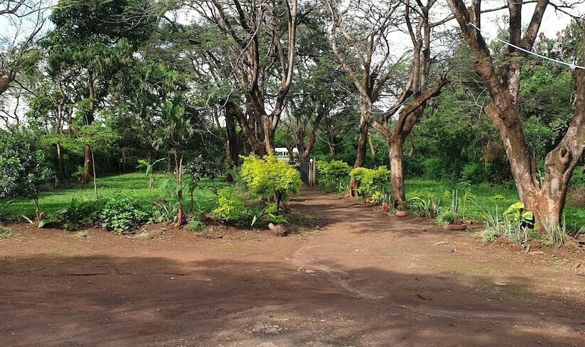 Общежитие Swahilibackpackers