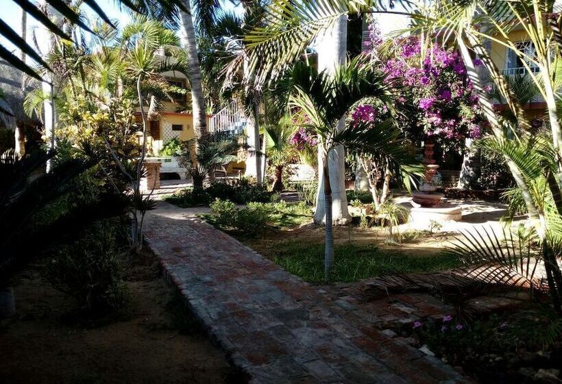 Bed and Breakfast Alcatraz