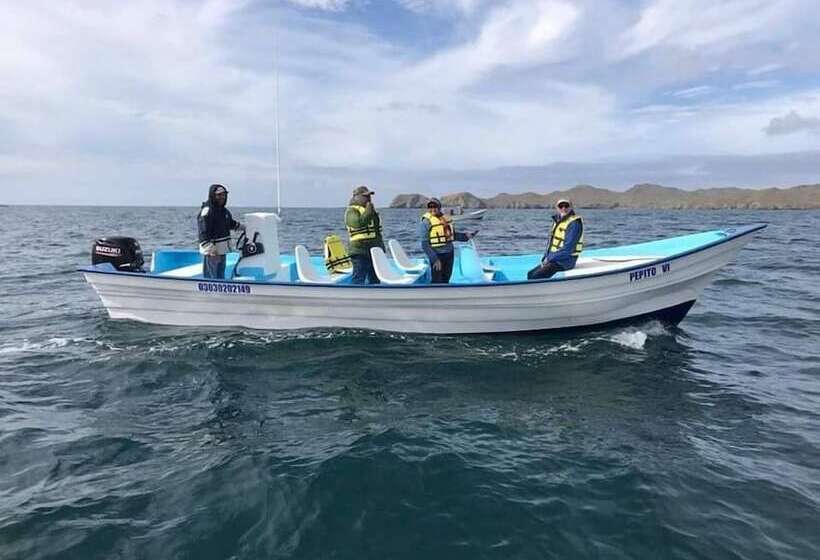 Bed and Breakfast Alcatraz