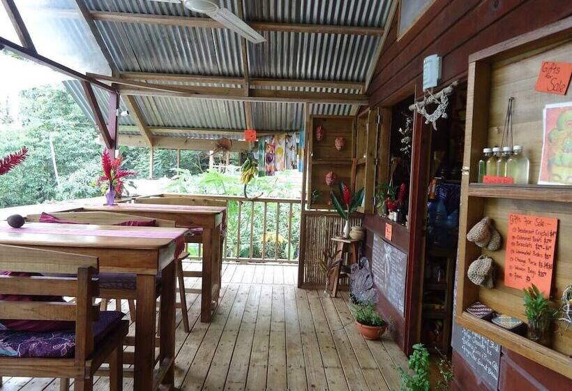 Bed and Breakfast Coco Hill