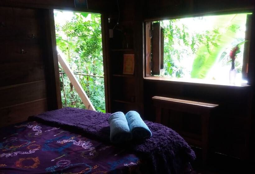 Bed and Breakfast Coco Hill