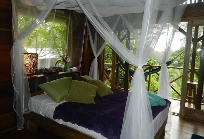 Bed and Breakfast Coco Hill