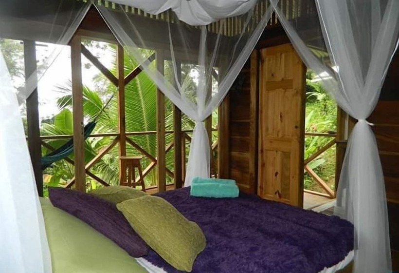 Bed and Breakfast Coco Hill