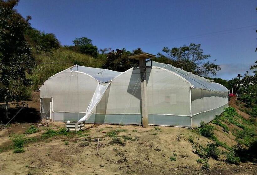 Bed and Breakfast Complejo Vacacional Vida Sana Maná