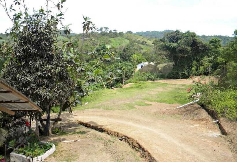 Bed and Breakfast Complejo Vacacional Vida Sana Maná