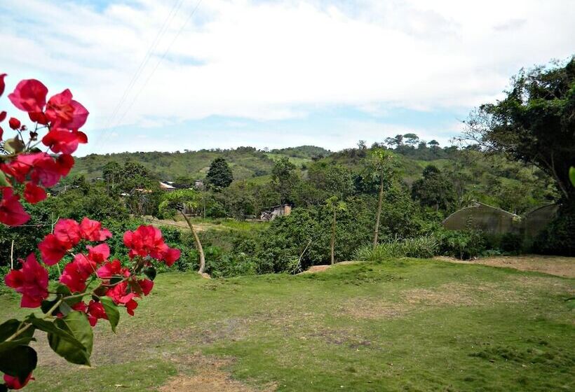 Bed and Breakfast Complejo Vacacional Vida Sana Maná