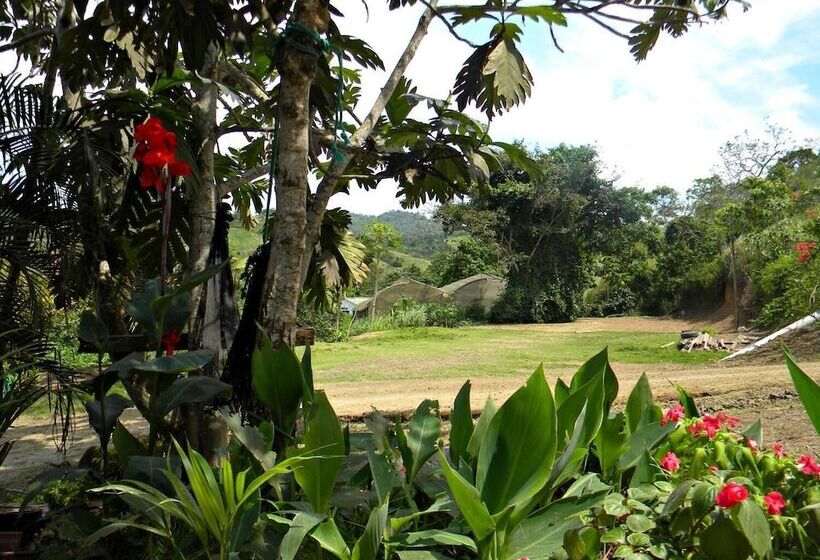 Bed and Breakfast Complejo Vacacional Vida Sana Maná