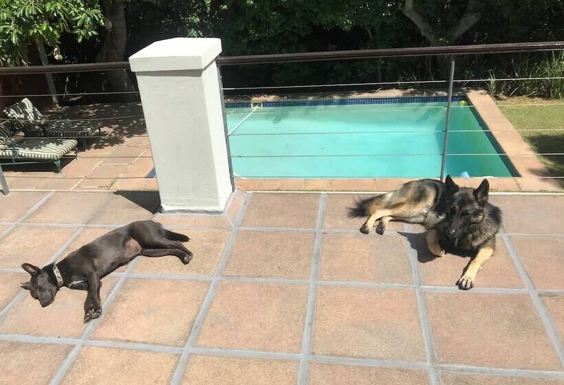 مبيت وإفطار T House