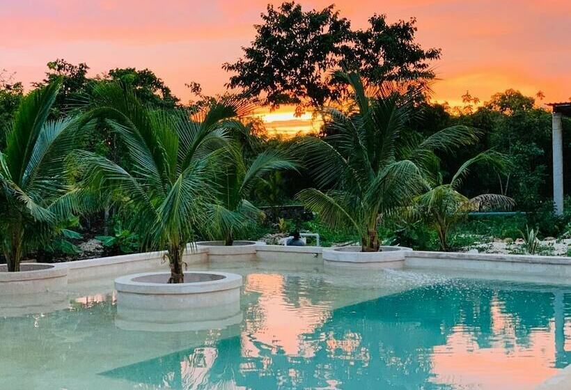 تختخواب و صبحانه Villa Xmaktuun