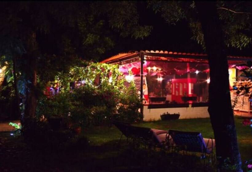 Casa Bugambilias Hotel Boutique