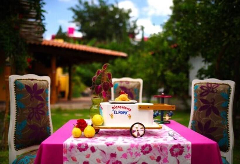 Casa Bugambilias Hotel Boutique