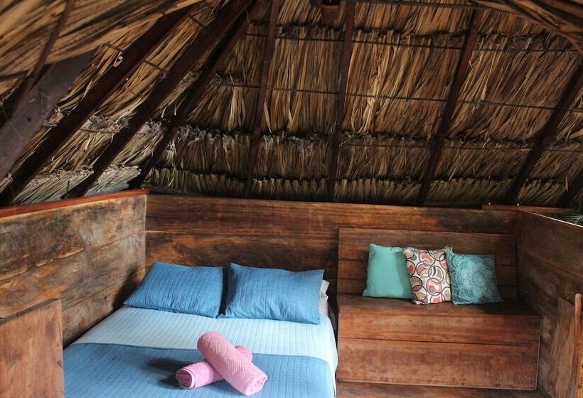 Casa Loma Minca   Hostel