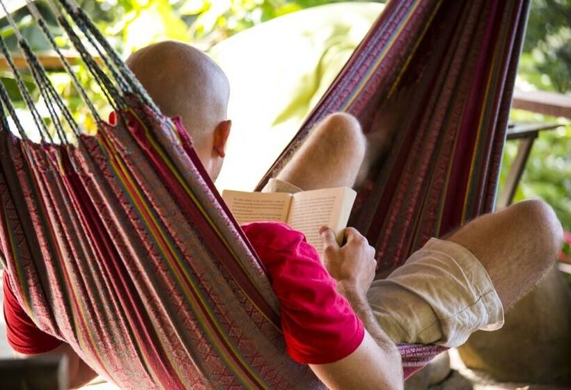 Casa Loma Minca   Hostel