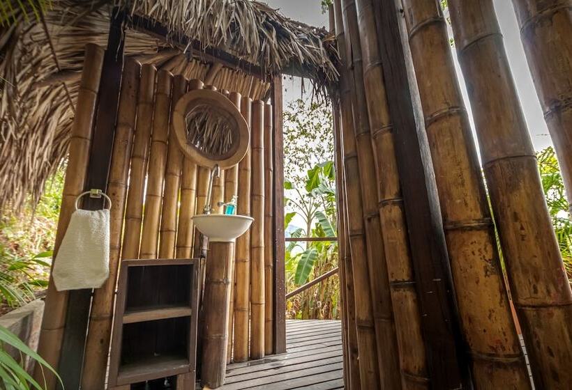 Casa Loma Minca   Hostel