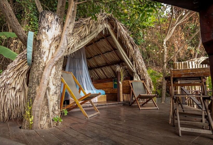 Casa Loma Minca   Hostel