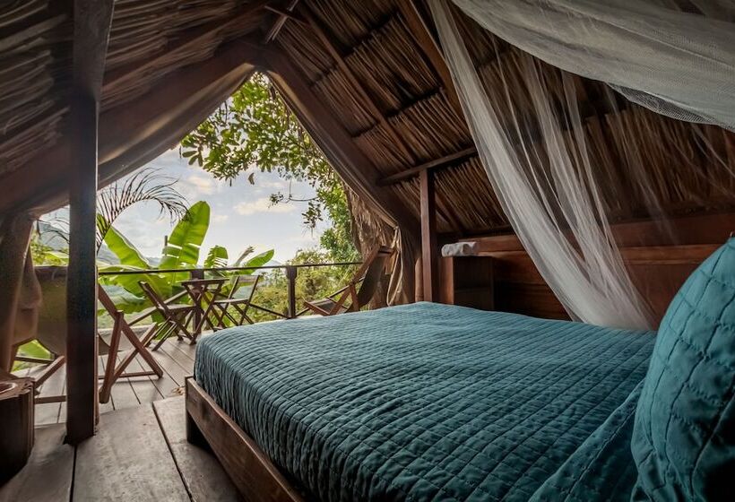 Casa Loma Minca   Hostel